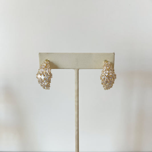 Aretes Ania