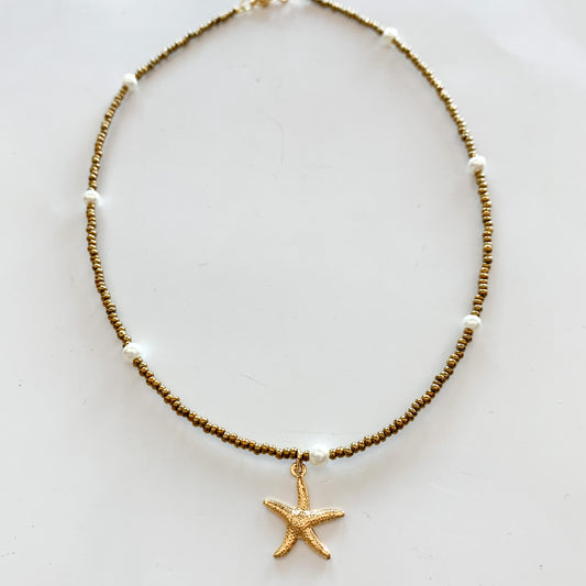 Choker gold estrella de mar